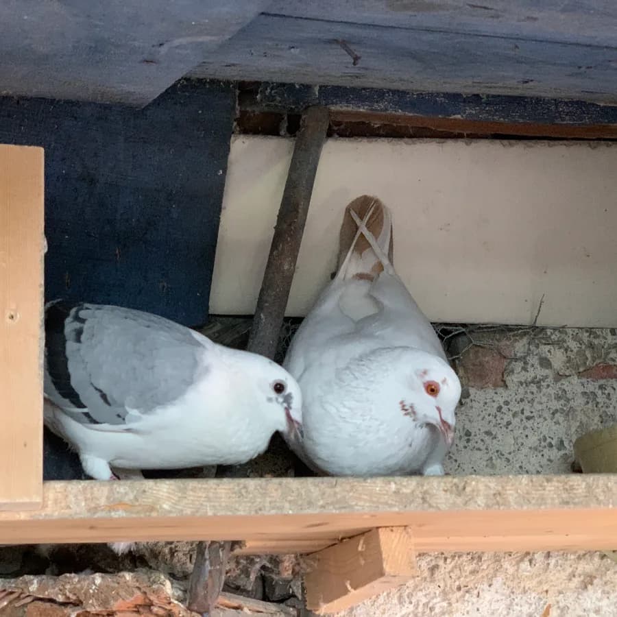 Porträt · Marli + Rosi